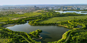 Fundamental guidelines